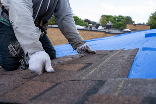 Best Residential Roofing Contractor  in August, CA