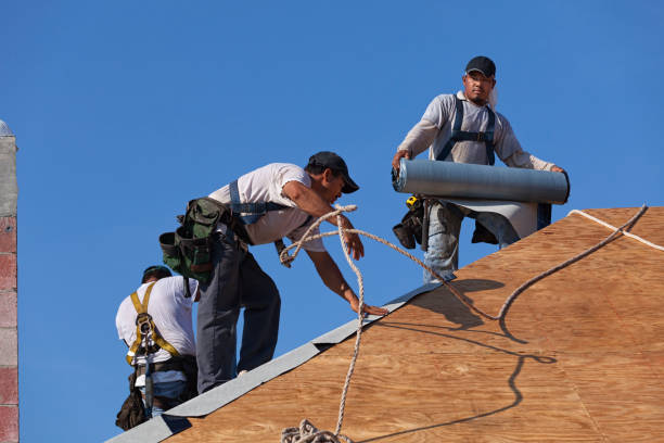 Best Roof Repair Estimates  in August, CA