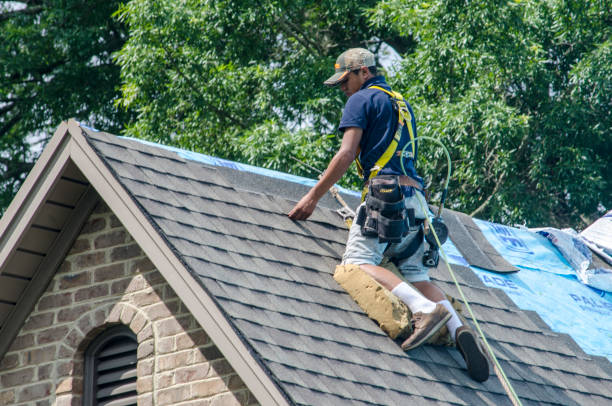 Best Roof Maintenance Services  in August, CA